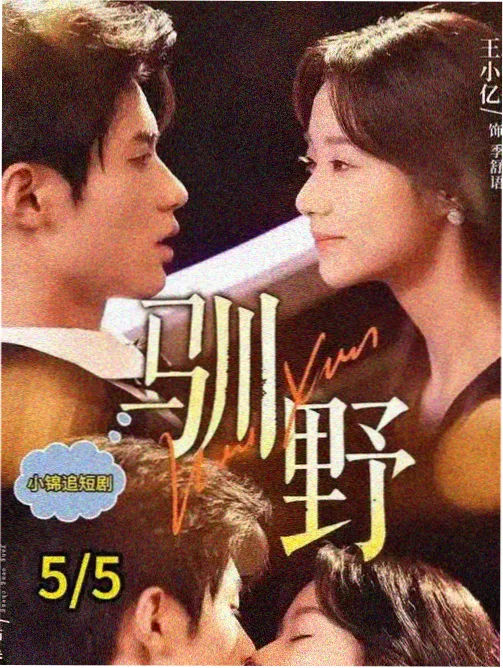 冰川来信 科考纪录片在线观看 - 511影视